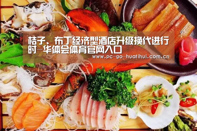 桔子、布丁经济型酒店升级换代进行时-华体会体育官网入口(图4) 华体会体育官方平台