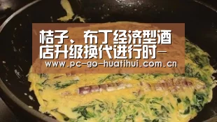 桔子、布丁经济型酒店升级换代进行时-华体会体育官网入口(图1) 华体会体育APP下载官网