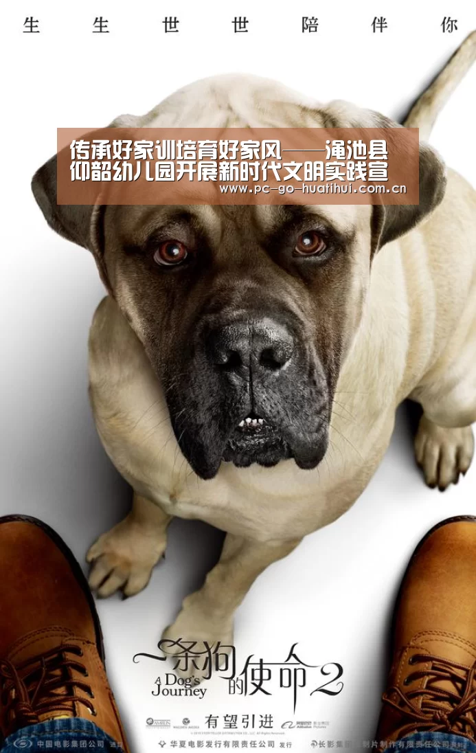 华体会体育官网入口