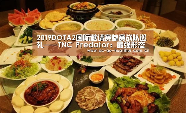 2019DOTA2国际邀请赛参赛战队巡礼——TNC Predator:最强形态_华体会体育官网入口(图1) 华体会体育官网入口