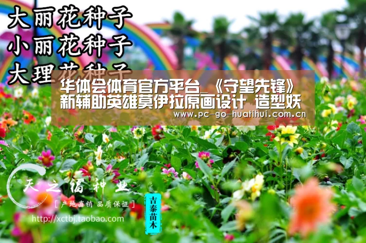 华体会体育APP下载官网