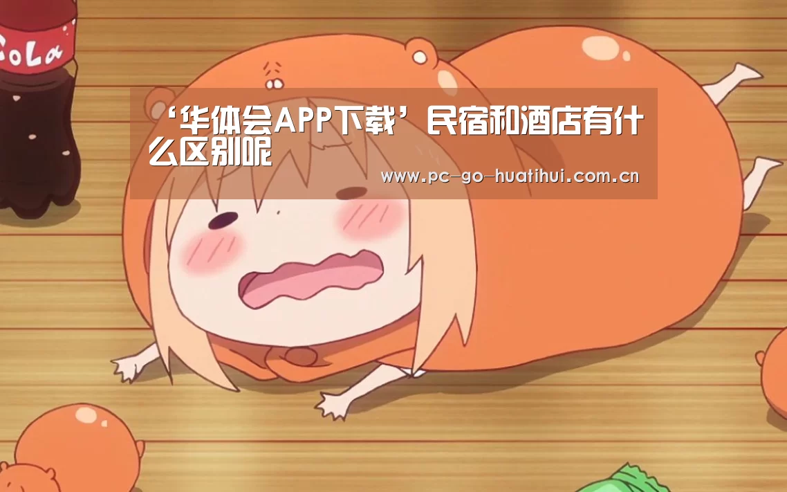 ‘华体会APP下载’民宿和酒店有什么区别呢(图3) 华体会APP下载