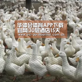 华体会体育APP下载官网