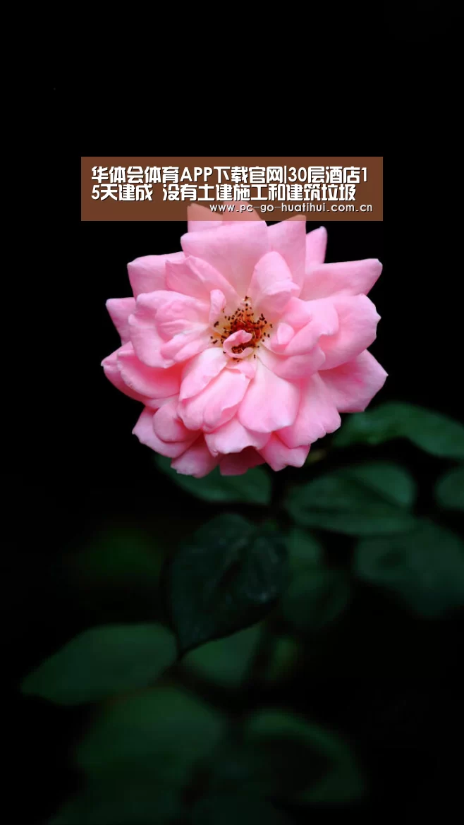 华体会体育官网入口