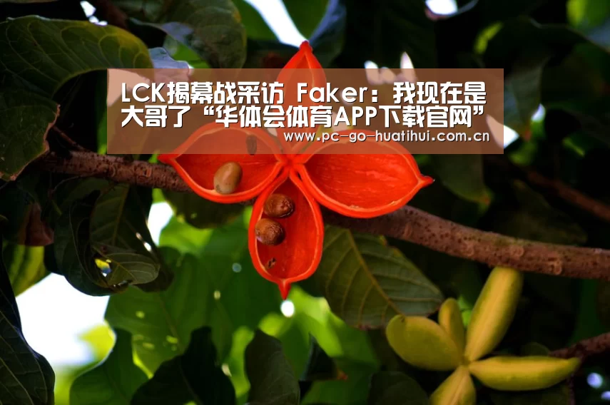 LCK揭幕战采访 Faker:我现在是大哥了“华体会体育APP下载官网”(图2) 华体会APP下载
