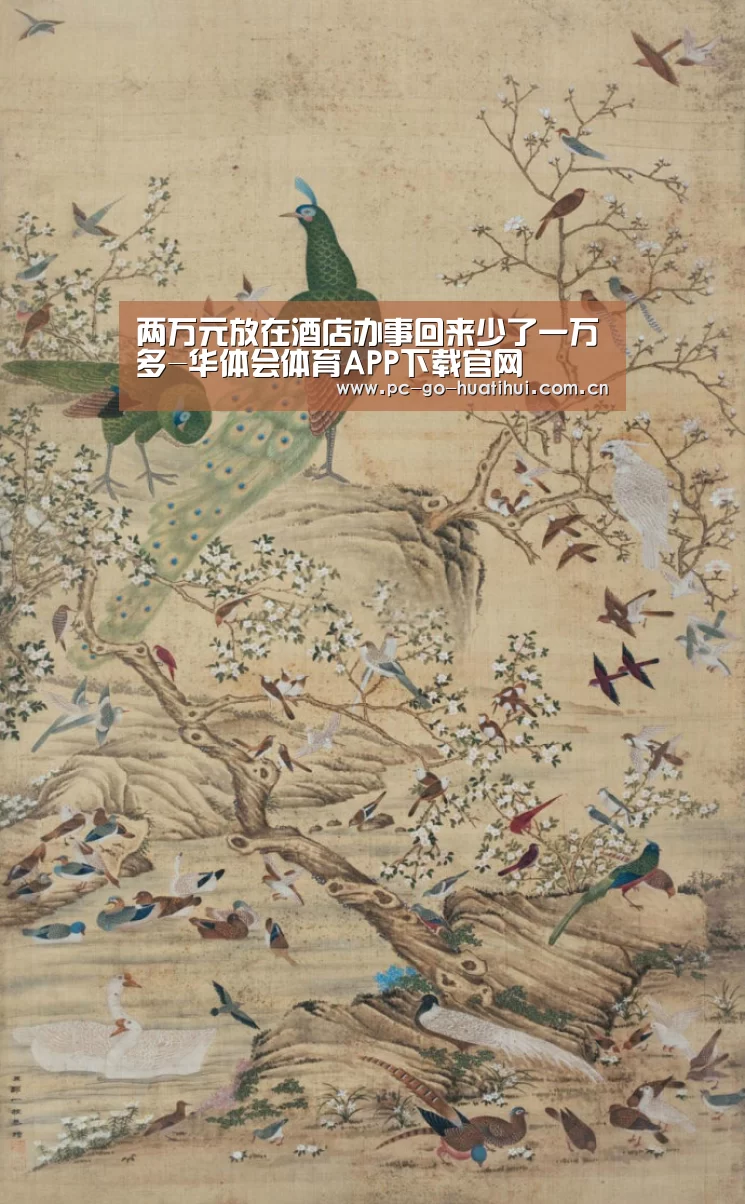 华体会体育官网入口