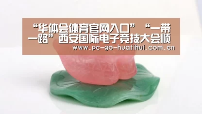 华体会体育APP下载官网