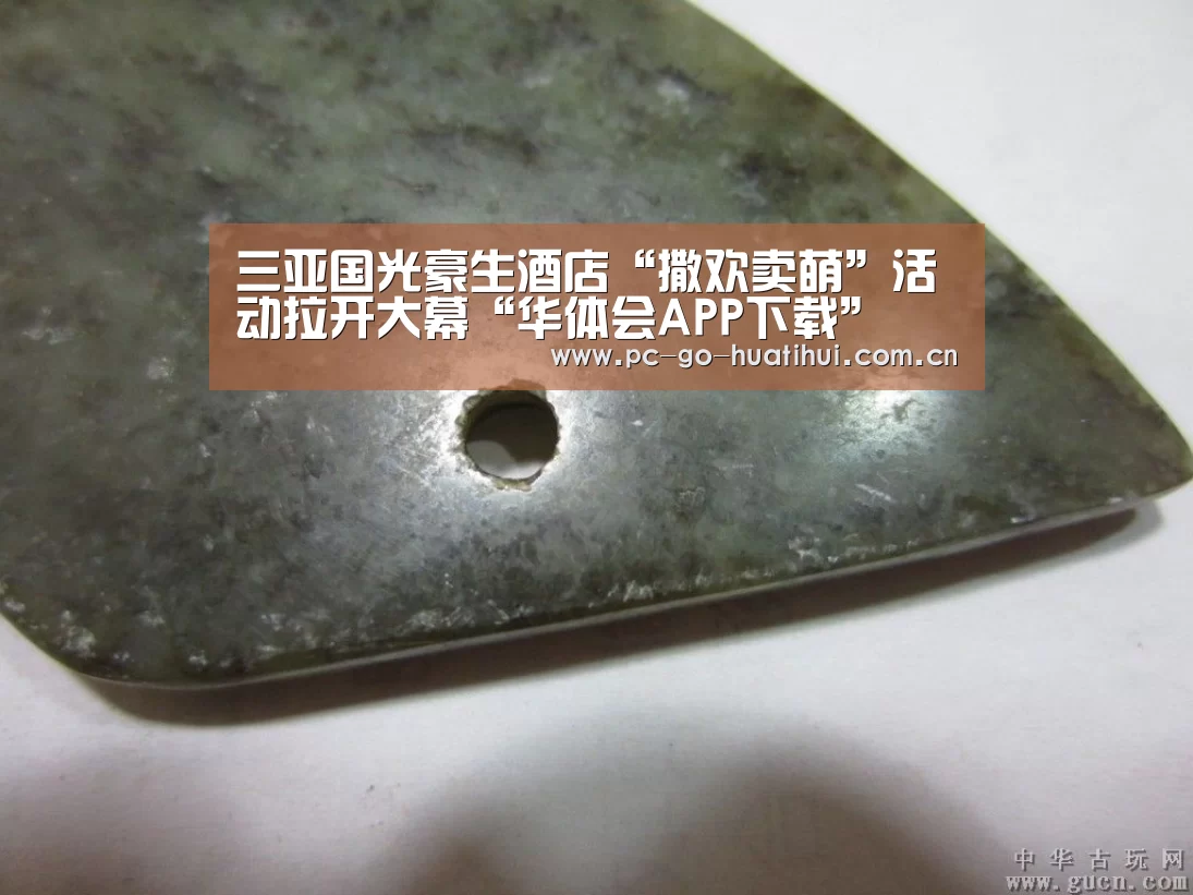 三亚国光豪生酒店“撒欢卖萌”活动拉开大幕“华体会APP下载”(图3) 华体会体育官方平台