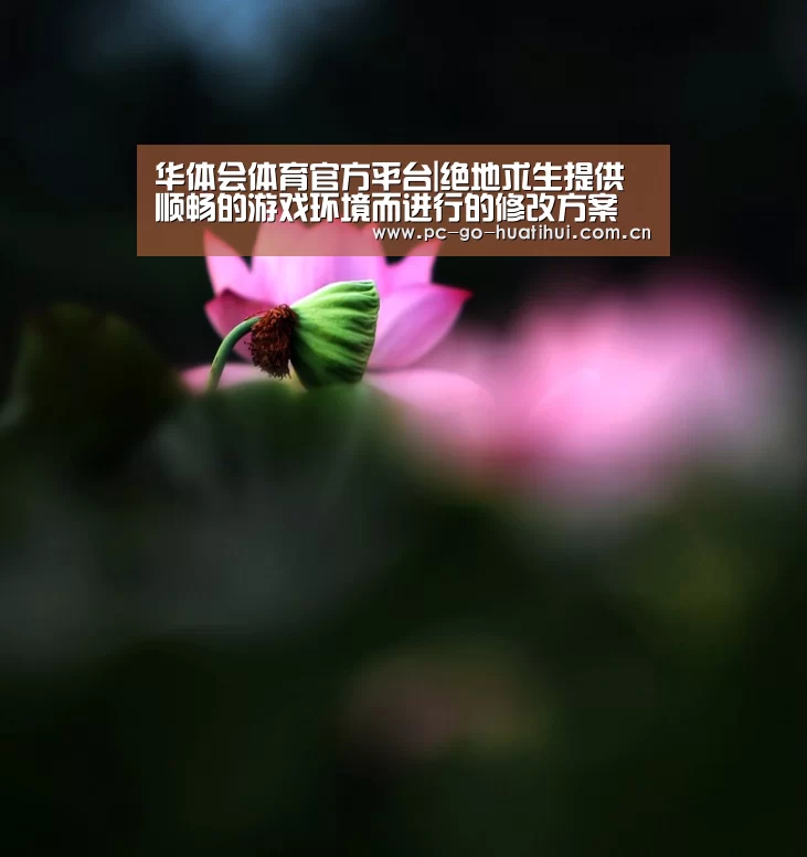 华体会体育官方平台|绝地求生提供顺畅的游